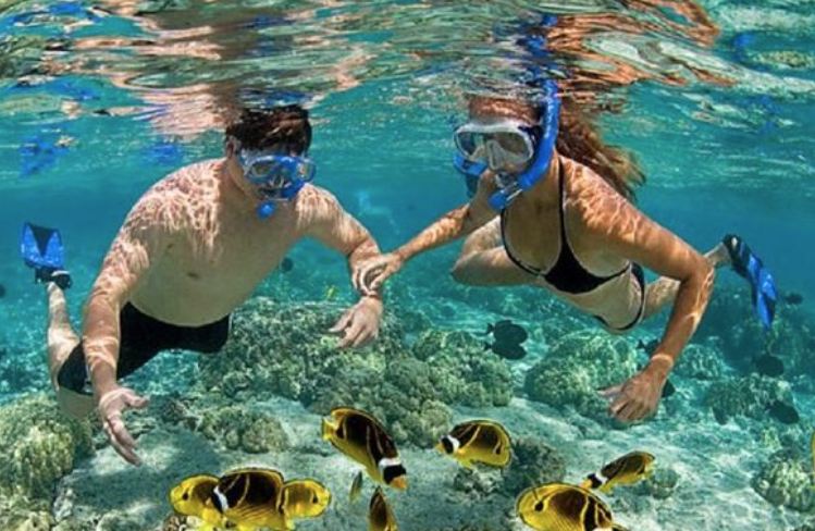 Best Beaches For Snorkeling In Puerto Rico Pinones Beach