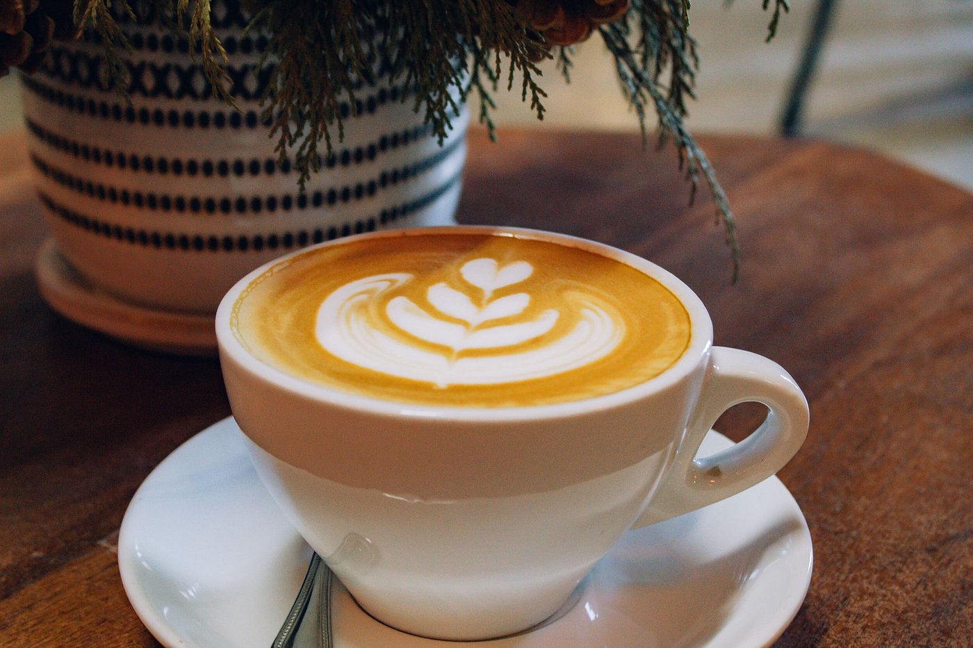 Cafe Serrano Latte Art Coffee Pinones Beach