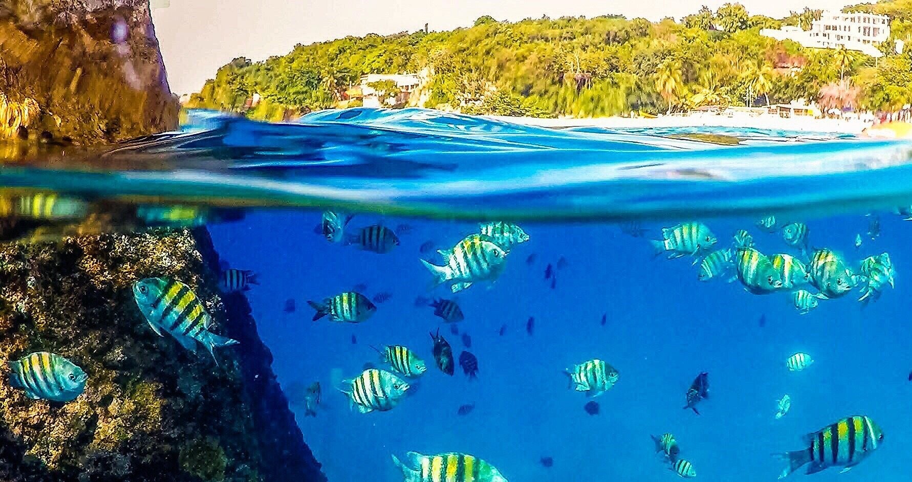 Crash Boat Beach Snorkeling Fish