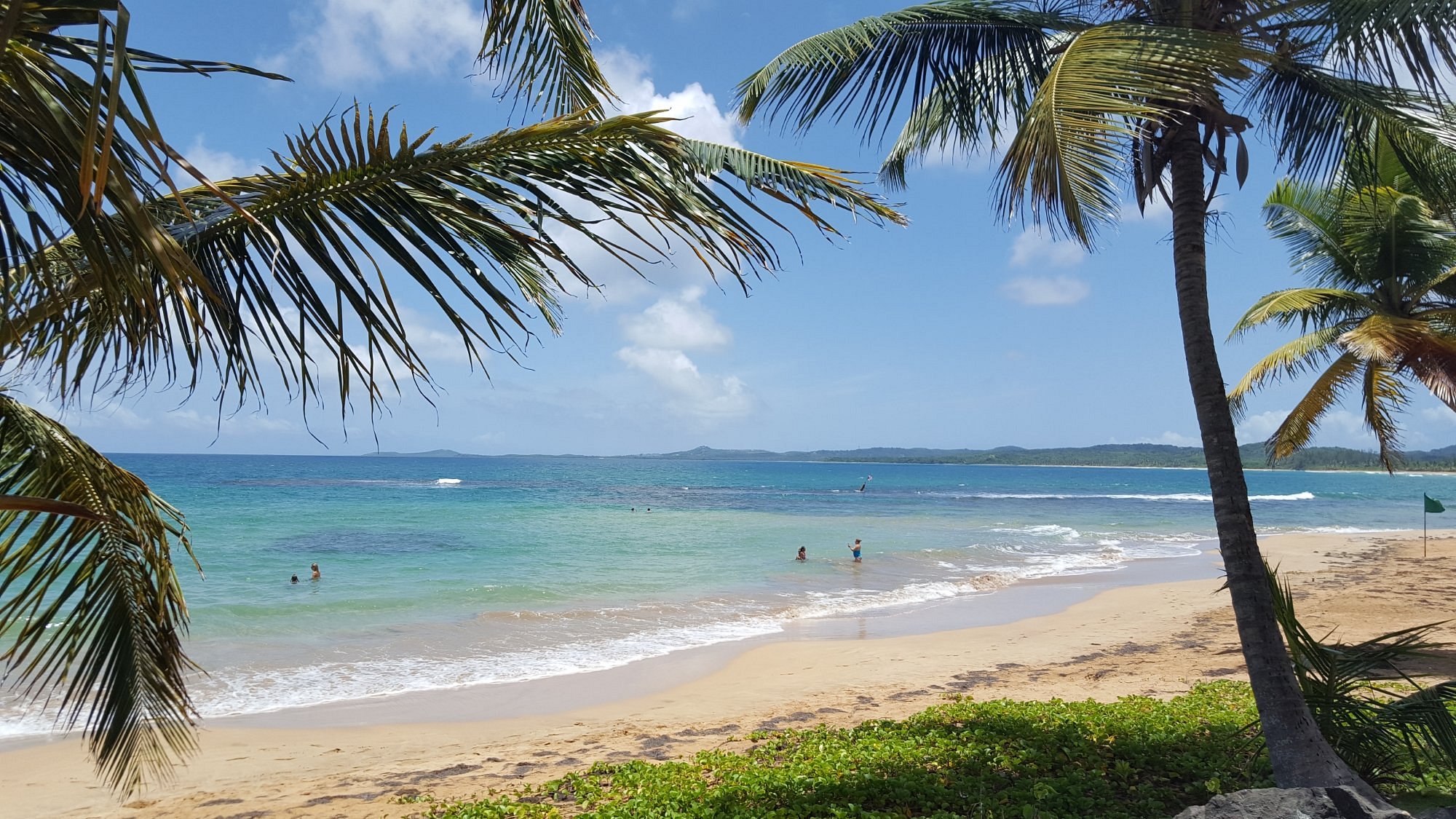 Luquillo Beach Palm Trees Coast