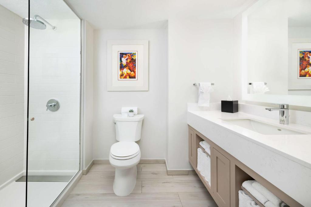 Embassy Suites Pinones Beach Puerto Rico Bathroom